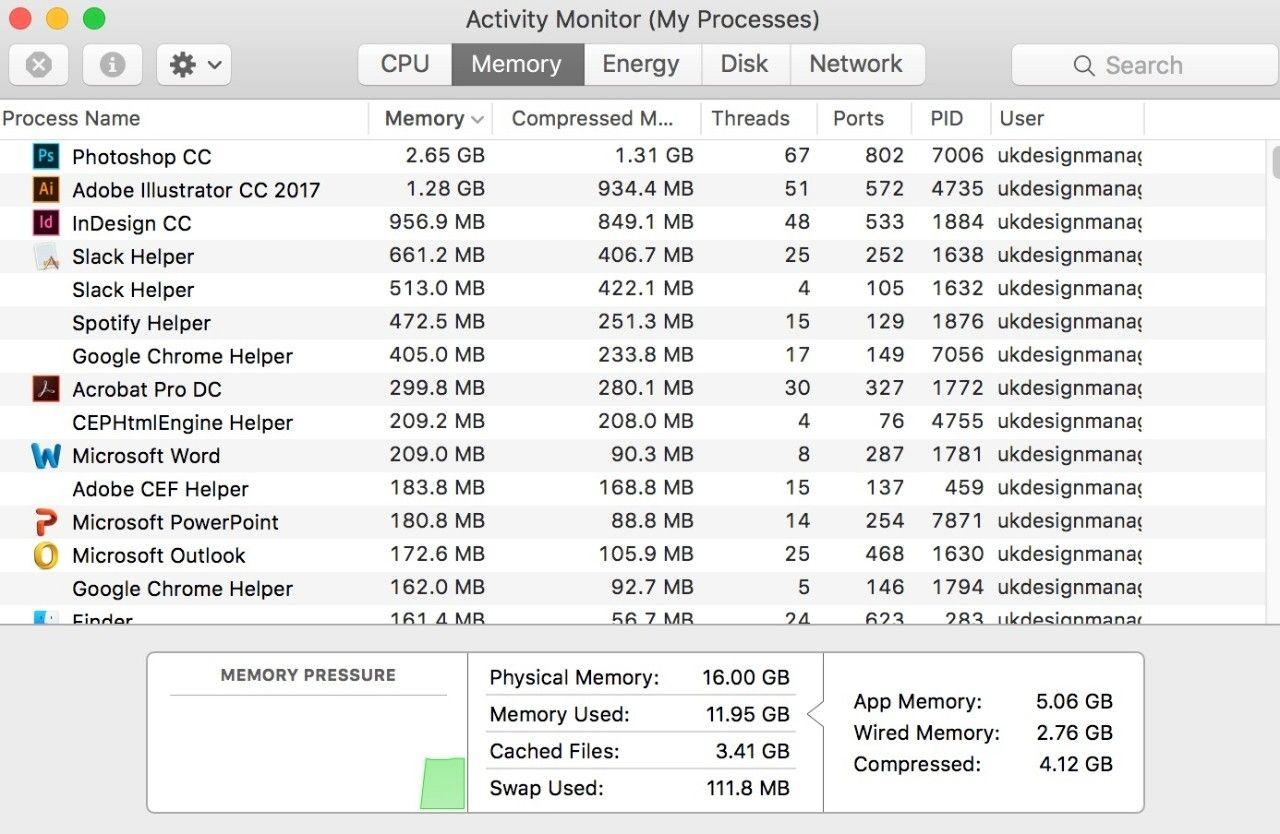 Screenshot of the Activity Monitor (My Processes) window on a Mac