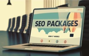 SEO Packages in delhi