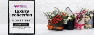 Flowers Based on Seasons