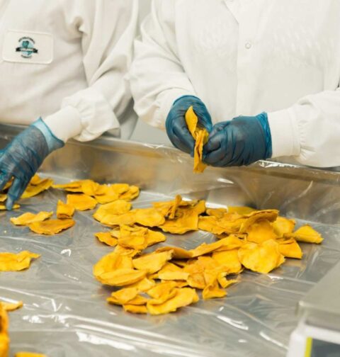 Potato Chips Factory In India
