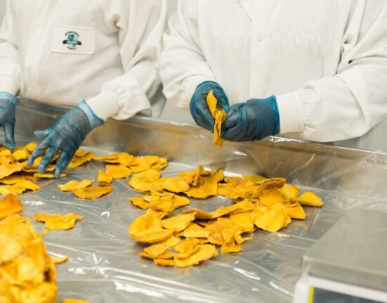 Potato Chips Factory In India