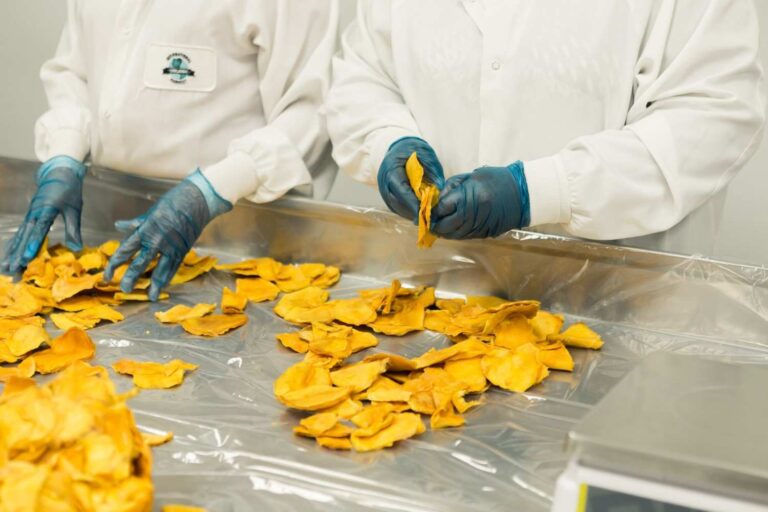 Potato Chips Factory In India