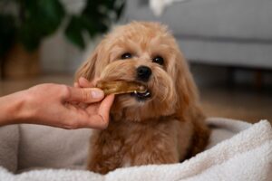 Healthy Natural Treats for Dogs