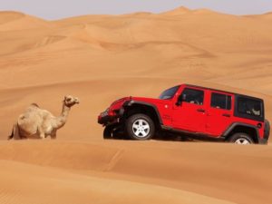 Lavish Desert