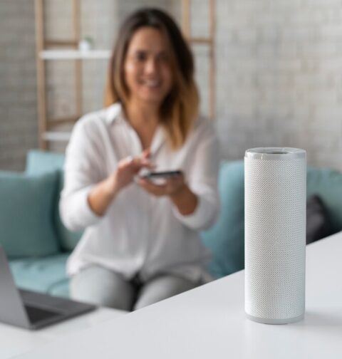 Voice Search Devices