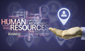 HR Professionals