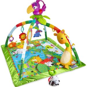 Baby Equipment