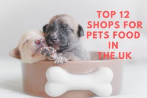 pet-shop in uk