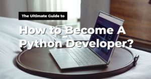 Python Developer