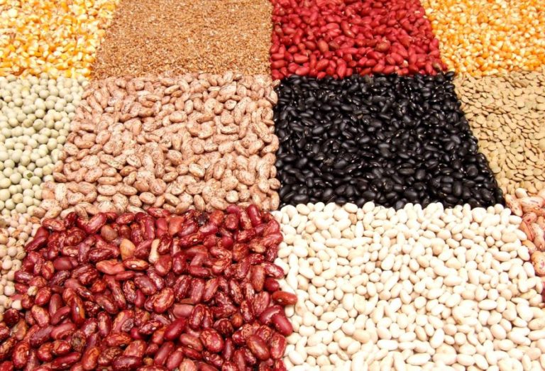 What Is Legume and Their Types