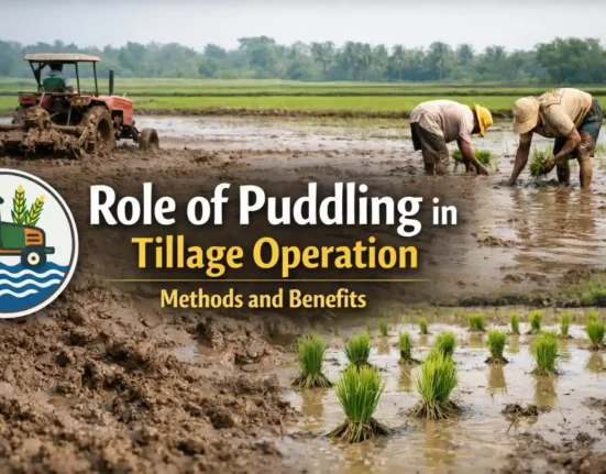 Role of Puddling in Tillage operation
