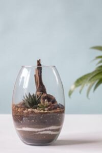 Terrarium