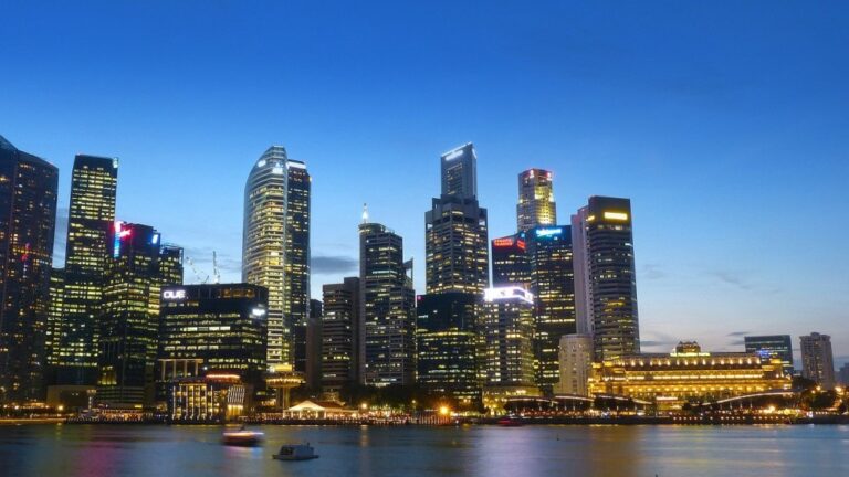 Singapore Startup Business