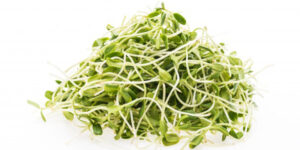 Sprouts
