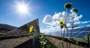 solar photovoltaic (SV)