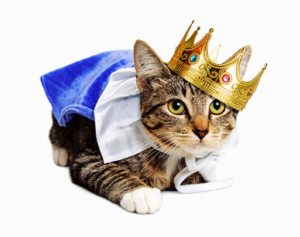 Cat with Crown