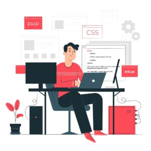 vue development