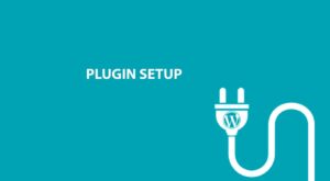 PLUGIN SЕTUP