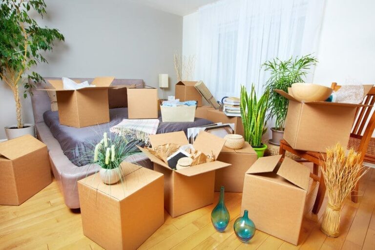 Your Rights and Duties When You Move Goods.