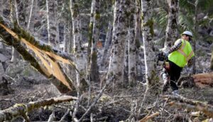 loggers-most-dangerous-job
