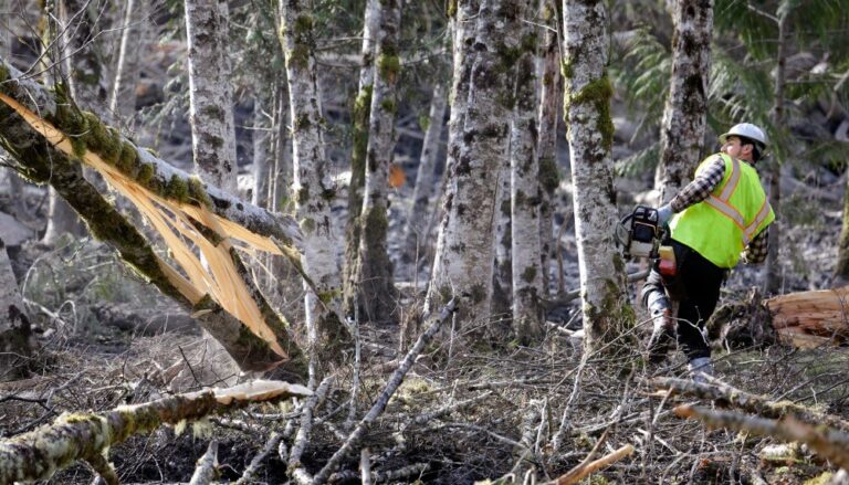 loggers-most-dangerous-job