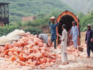 Himalayan Pink Salt