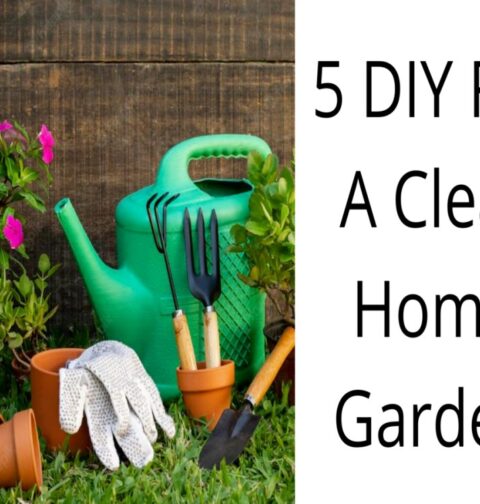 DIY For A Clean Home Garden