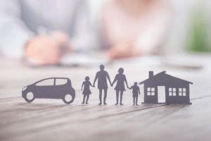 Family Lawyer