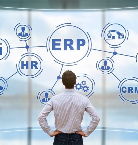 Users Of The ERP System in 2022