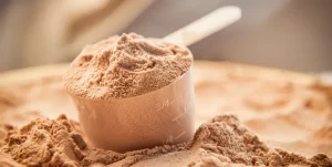 protein powder