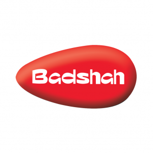 Badshah Masala Logo