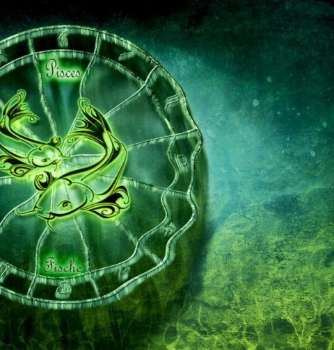 Best Astrologer in Ahemdabad