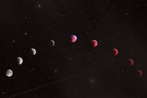 Best Astrologer in Chandigarh