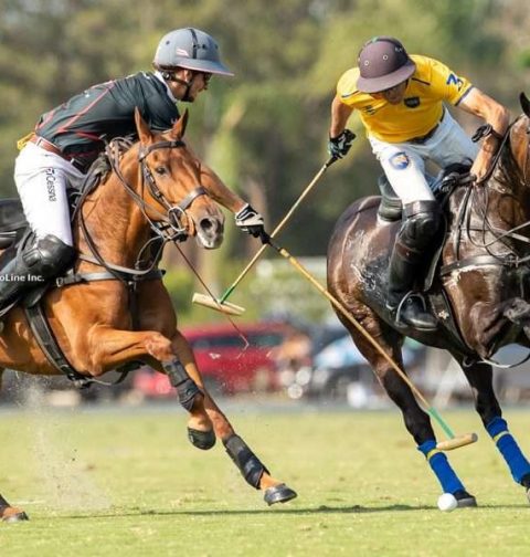 US Open Polo Championship Winners