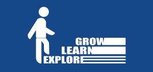 Career in IT