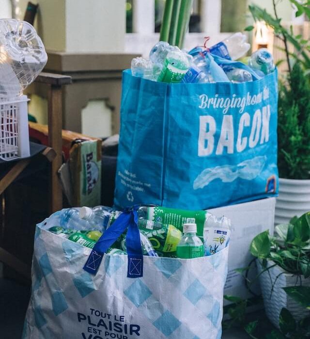Ways to Begin Living More Eco Consciously