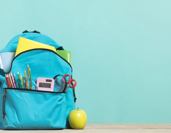 Perfect School Bag