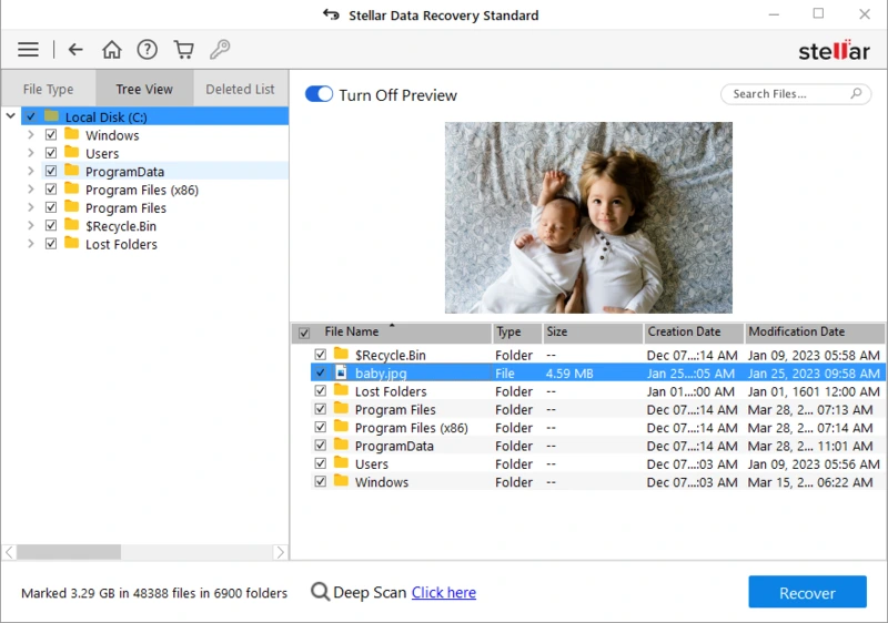 Stellar Data Recovery - Preview and Select the File for Recovery