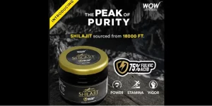 What is Shilajit