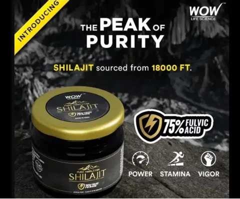 What is Shilajit