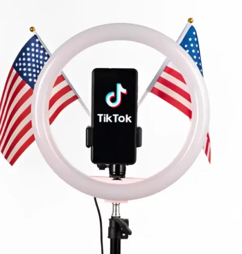 TikTok Politics and Activism