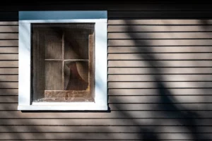 Wall of a House with a Window Covered with Net