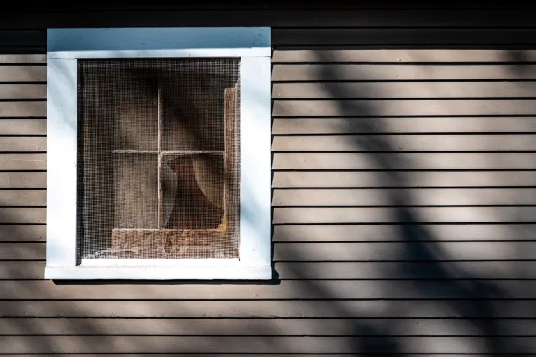 Wall of a House with a Window Covered with Net
