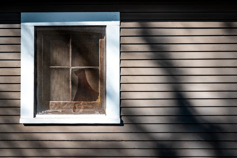 Wall of a House with a Window Covered with Net