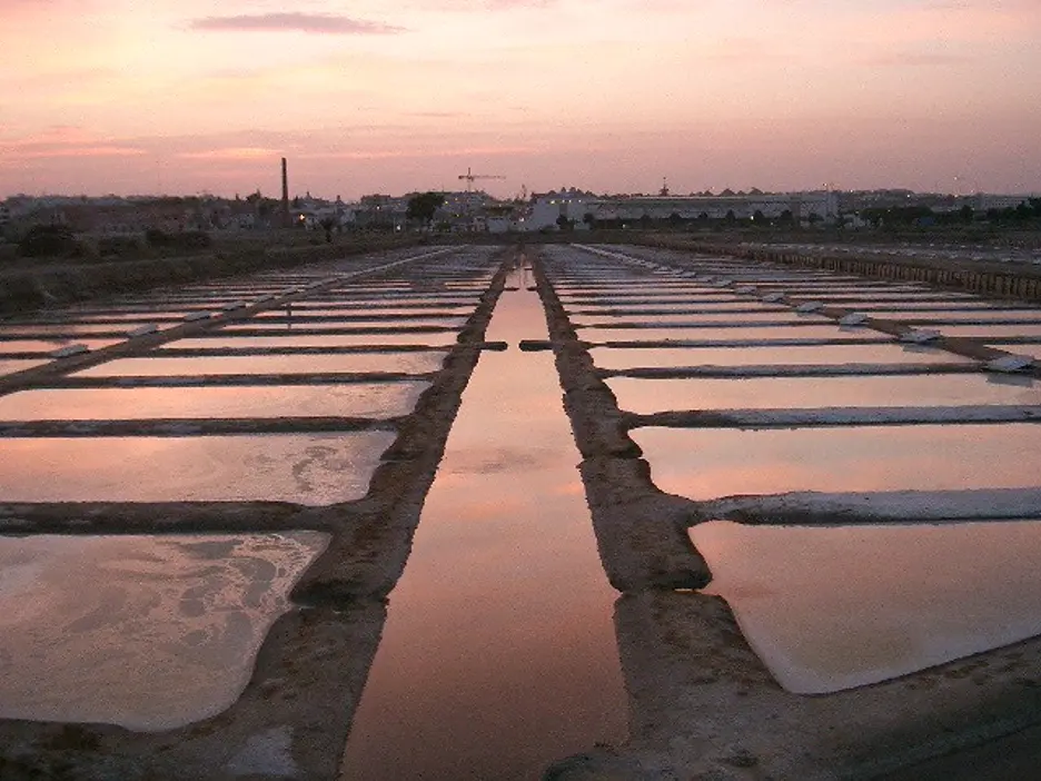 Salinas de Tavira
