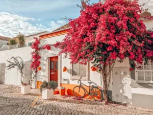 Tavira's Traditional Portuguese Restaurants