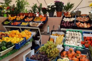 Visit the Tavira Market