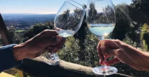 Wine Tasting