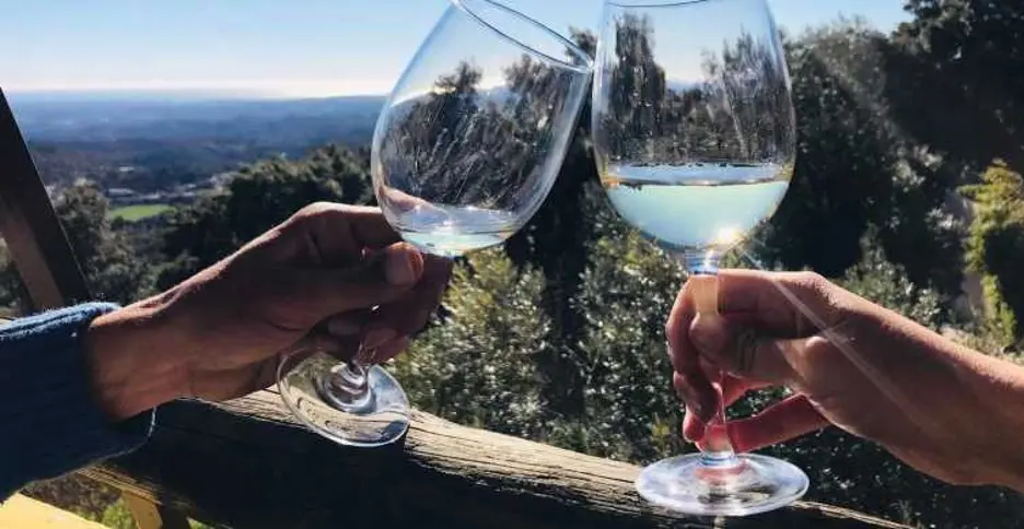 Wine Tasting