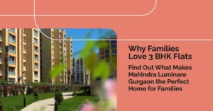 3 BHK Flats at Mahindra Luminare Gurgaon